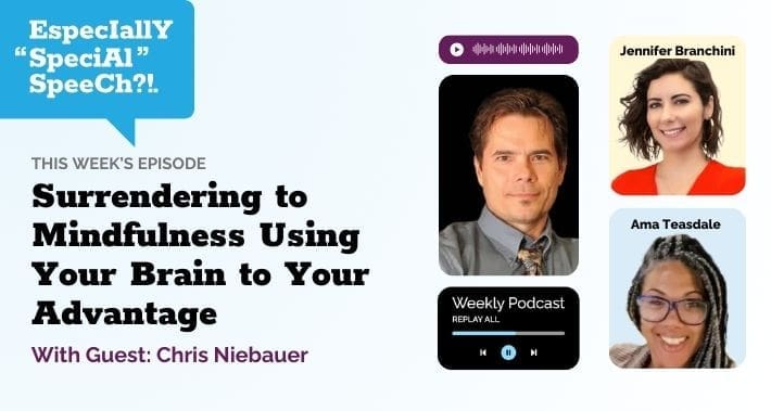 Surrendering to Mindfulness: Using Your Brain to Your Advantage with Chris Niebauer